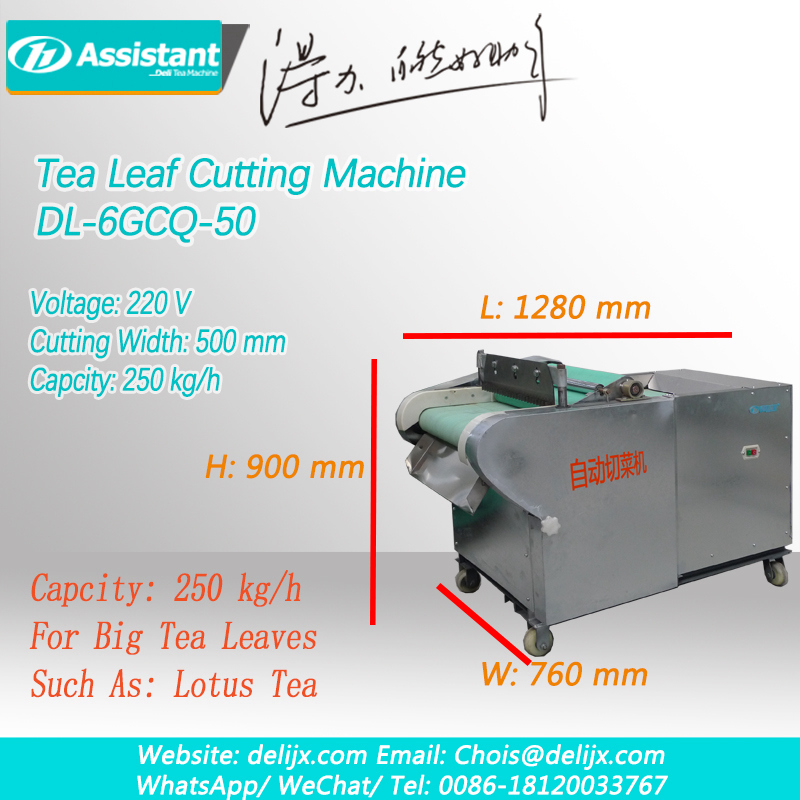 Fresh Big Green Tea Leaf Cutting Machine, Machine For Cutting Lotus Tea Leaf DL-6GCQ-50